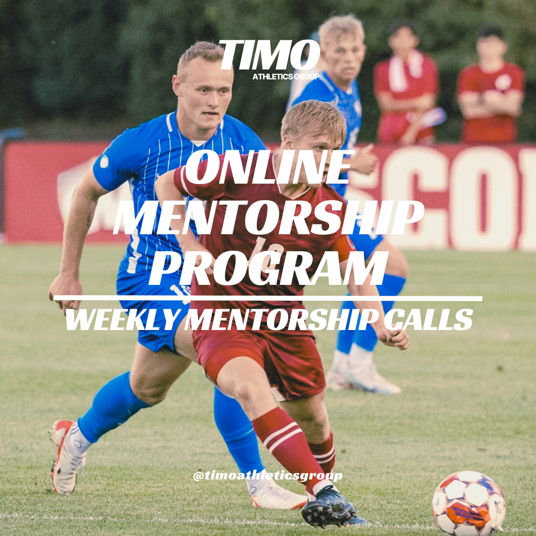 Online Mentorship Program